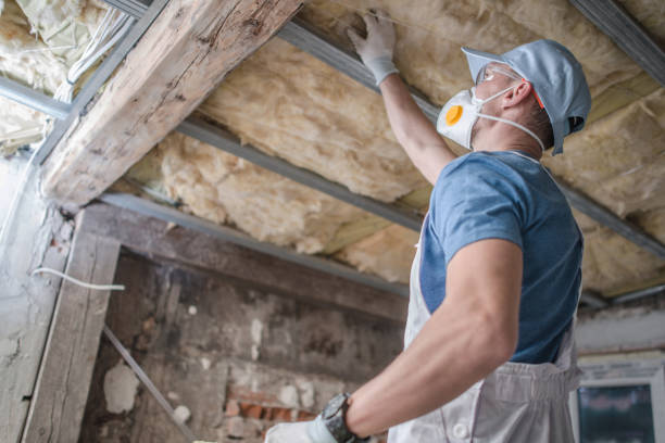 Types of Insulation We Offer in Brownsville, OR